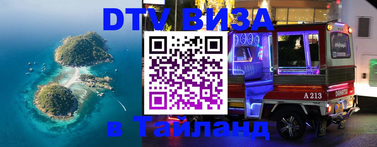 Оформление DTV визы под ключ: стоимость и тарифы, только загранпаспорт - Пушкино  18.11.2025 